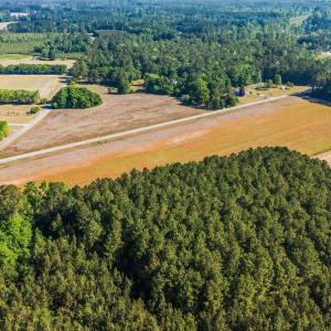 Photo #9 of TBD Ray Rd., Hemingway, SC 14.0 acres