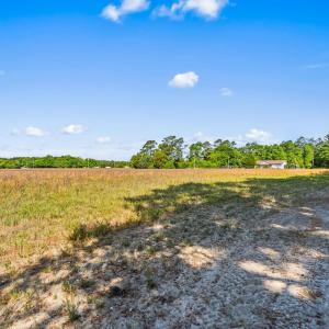 Photo #16 of TBD Ray Rd., Hemingway, SC 14.0 acres