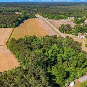Photo #13 of TBD Ray Rd., Hemingway, SC 14.0 acres