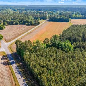 Photo #20 of TBD Ray Rd., Hemingway, SC 14.0 acres