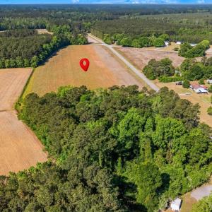 Photo #12 of TBD Ray Rd., Hemingway, SC 14.0 acres