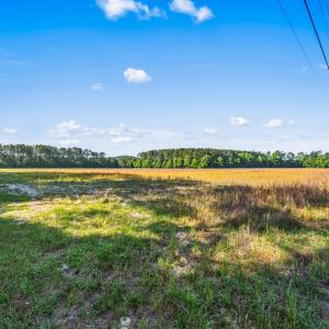 Photo #15 of TBD Ray Rd., Hemingway, SC 14.0 acres