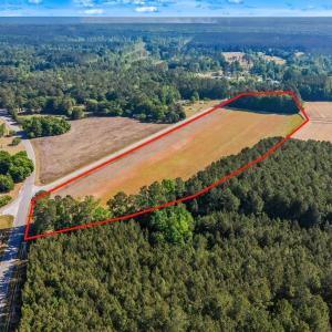 Photo #4 of TBD Ray Rd., Hemingway, SC 14.0 acres