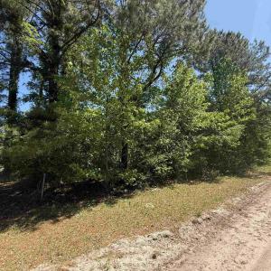 Photo #1 of TBD New Bridge Rd., Nichols, SC 0.7 acres
