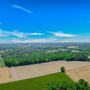 Photo #9 of TBD Trinidad Ard Rd, Coward, SC 39.0 acres