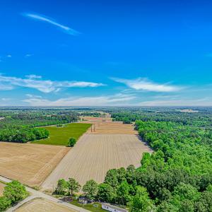 Photo #3 of TBD Trinidad Ard Rd, Coward, SC 39.0 acres