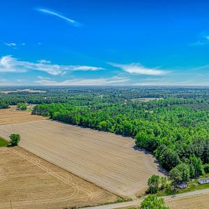 Photo #2 of TBD Trinidad Ard Rd, Coward, SC 39.0 acres
