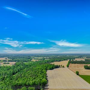Photo #10 of TBD Trinidad Ard Rd, Coward, SC 39.0 acres