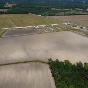 Photo #3 of TBD Macks Rd, Aynor, SC 38.7 acres