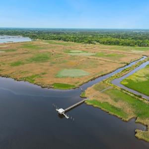 Photo #19 of 681 Grand Oak Dr., Georgetown, SC 1.9 acres