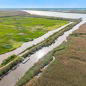 Photo #12 of 681 Grand Oak Dr., Georgetown, SC 1.9 acres