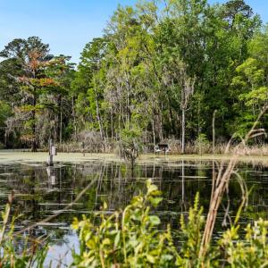 Photo #11 of 681 Grand Oak Dr., Georgetown, SC 1.9 acres