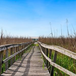 Photo #10 of 681 Grand Oak Dr., Georgetown, SC 1.9 acres