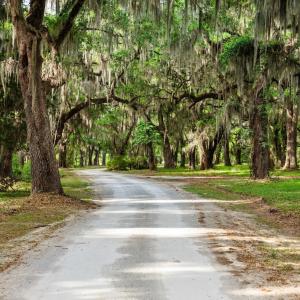 Photo #8 of 681 Grand Oak Dr., Georgetown, SC 1.9 acres