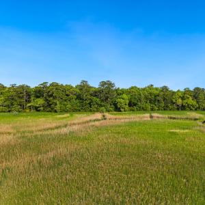 Photo #21 of 681 Grand Oak Dr., Georgetown, SC 1.9 acres