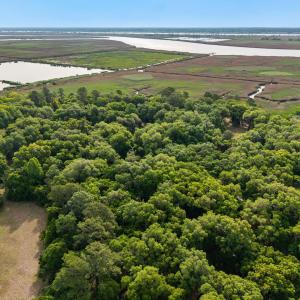 Photo #16 of 681 Grand Oak Dr., Georgetown, SC 1.9 acres