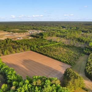 Photo #5 of TBD Hwy 9, Loris, SC 53.6 acres