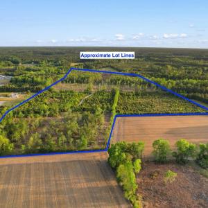 Photo #2 of TBD Hwy 9, Loris, SC 53.6 acres