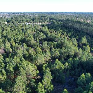 Photo #16 of 2422 Pennyroyal Rd., Georgetown, SC 46.8 acres