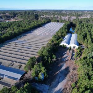 Photo #7 of 2422 Pennyroyal Rd., Georgetown, SC 46.8 acres