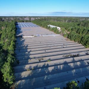 Photo #8 of 2422 Pennyroyal Rd., Georgetown, SC 46.8 acres