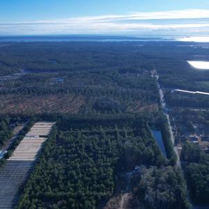 Photo #5 of 2422 Pennyroyal Rd., Georgetown, SC 46.8 acres