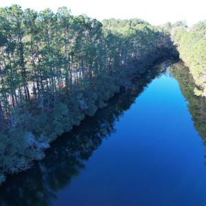 Photo #3 of 2422 Pennyroyal Rd., Georgetown, SC 46.8 acres