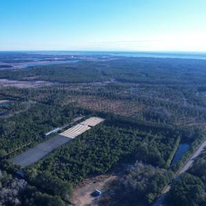 Photo #6 of 2422 Pennyroyal Rd., Georgetown, SC 46.8 acres