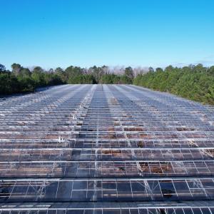 Photo #20 of 2422 Pennyroyal Rd., Georgetown, SC 46.8 acres