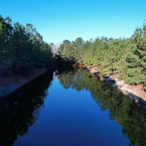 Photo #9 of 2422 Pennyroyal Rd., Georgetown, SC 46.8 acres