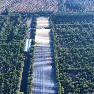 Photo #13 of 2386 Pennyroyal Rd., Georgetown, SC 46.8 acres