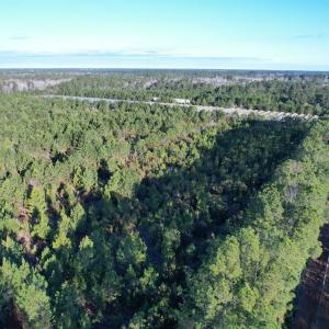Photo #18 of 2386 Pennyroyal Rd., Georgetown, SC 46.8 acres