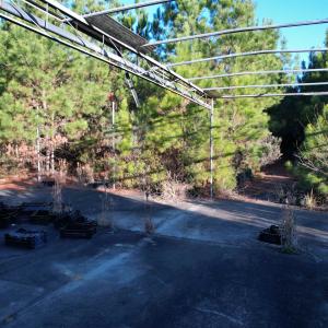 Photo #11 of 2386 Pennyroyal Rd., Georgetown, SC 46.8 acres