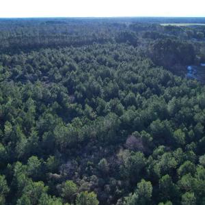 Photo #2 of 2386 Pennyroyal Rd., Georgetown, SC 46.8 acres