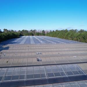 Photo #19 of 2386 Pennyroyal Rd., Georgetown, SC 46.8 acres