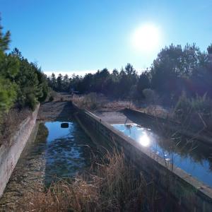 Photo #10 of 2386 Pennyroyal Rd., Georgetown, SC 46.8 acres