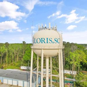 Photo #8 of TBD Mount Olive Church Rd., Loris, SC 15.4 acres