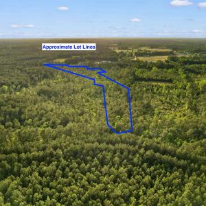 Photo #3 of TBD Mount Olive Church Rd., Loris, SC 15.4 acres