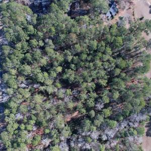 Photo #18 of 22 Lots - Goelet Ct., Georgetown, SC 7.7 acres