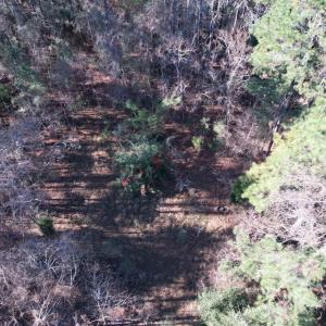 Photo #13 of 22 Lots - Goelet Ct., Georgetown, SC 7.7 acres