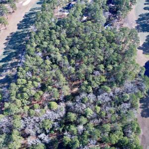 Photo #3 of 22 Lots - Goelet Ct., Georgetown, SC 7.7 acres