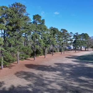 Photo #16 of 22 Lots - Goelet Ct., Georgetown, SC 7.7 acres