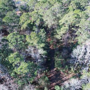 Photo #22 of 22 Lots - Goelet Ct., Georgetown, SC 7.7 acres