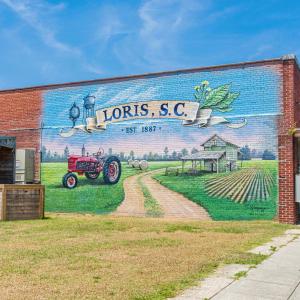 Photo #15 of 622 Hulls Island Rd., Loris, SC 6.0 acres