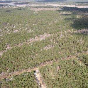 Photo #4 of Tract C - TBD Pennyroyal Rd., Georgetown, SC 5.5 acres