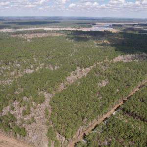 Photo #3 of Tract C - TBD Pennyroyal Rd., Georgetown, SC 5.5 acres