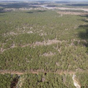 Photo #5 of Tract C - TBD Pennyroyal Rd., Georgetown, SC 5.5 acres