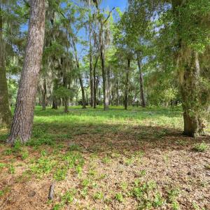 Photo #4 of 116 Sandy Ridge Loop, Pawleys Island, SC 1.8 acres
