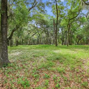 Photo #6 of 116 Sandy Ridge Loop, Pawleys Island, SC 1.8 acres