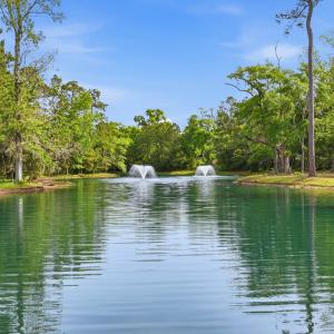 Photo #9 of 116 Sandy Ridge Loop, Pawleys Island, SC 1.8 acres